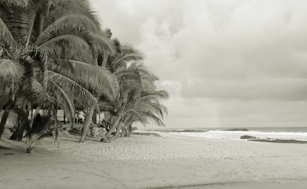 Asesinan a Rufina frente a su restaurante en la playa Agua Blanca; Oaxaca suma 60 muertes violentas de mujeres este año