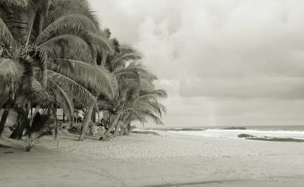 Asesinan a Rufina frente a su restaurante en la playa Agua Blanca; Oaxaca suma 60 muertes violentas de mujeres este año