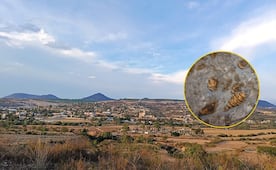 Conoce el pueblo de Oaxaca que hace millones de años estuvo bajo el agua 