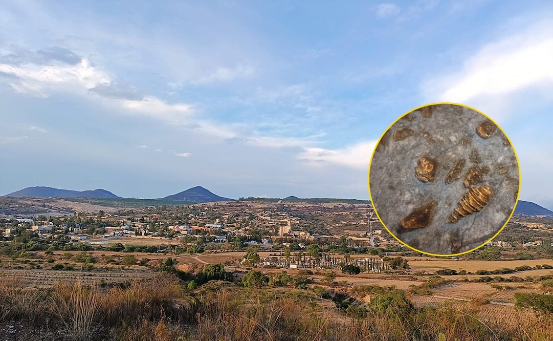 Santuario Marino en Coixtlahuaca, Oaxaca. Foto: Wikipedia/wixsite.com