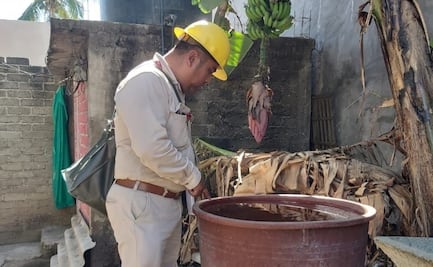 Acumula Oaxaca 45 casos confirmados de dengue; hay otros 77 sospechosos