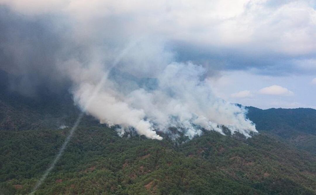 Acusan abandono de brigadas de Coesfo y Conafor, pese a emergencia en pueblos chontales de Oaxaca. Foto: Especial