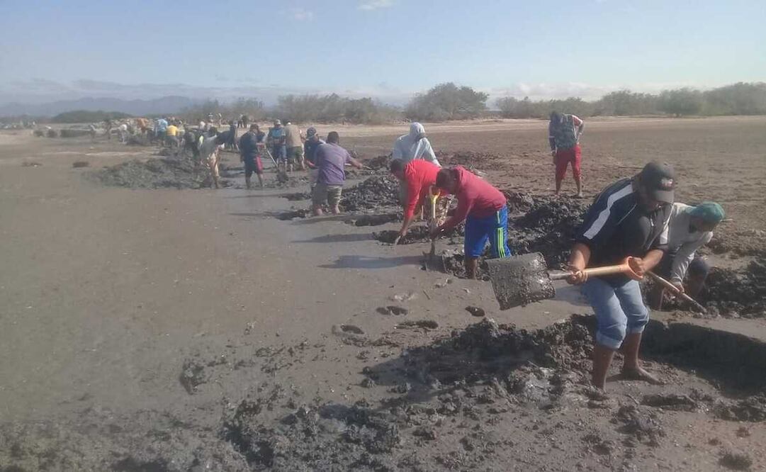 Pescadores van por declaratoria de siniestro ante contaminación de 65 mil hectáreas de lagunas del Istmo de Oaxaca. Fotos: Especiales