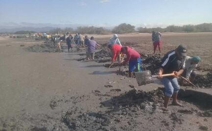 Pescadores van por declaratoria de siniestro ante contaminación de 65 mil hectáreas de lagunas del Istmo de Oaxaca