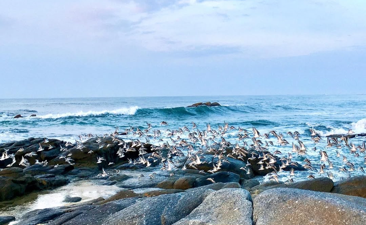 Playa Agua Blanca. Foto: @alosjayoga