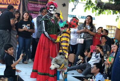 Atrae “Festival del Terror Perruno” a cientos en Jalatlaco