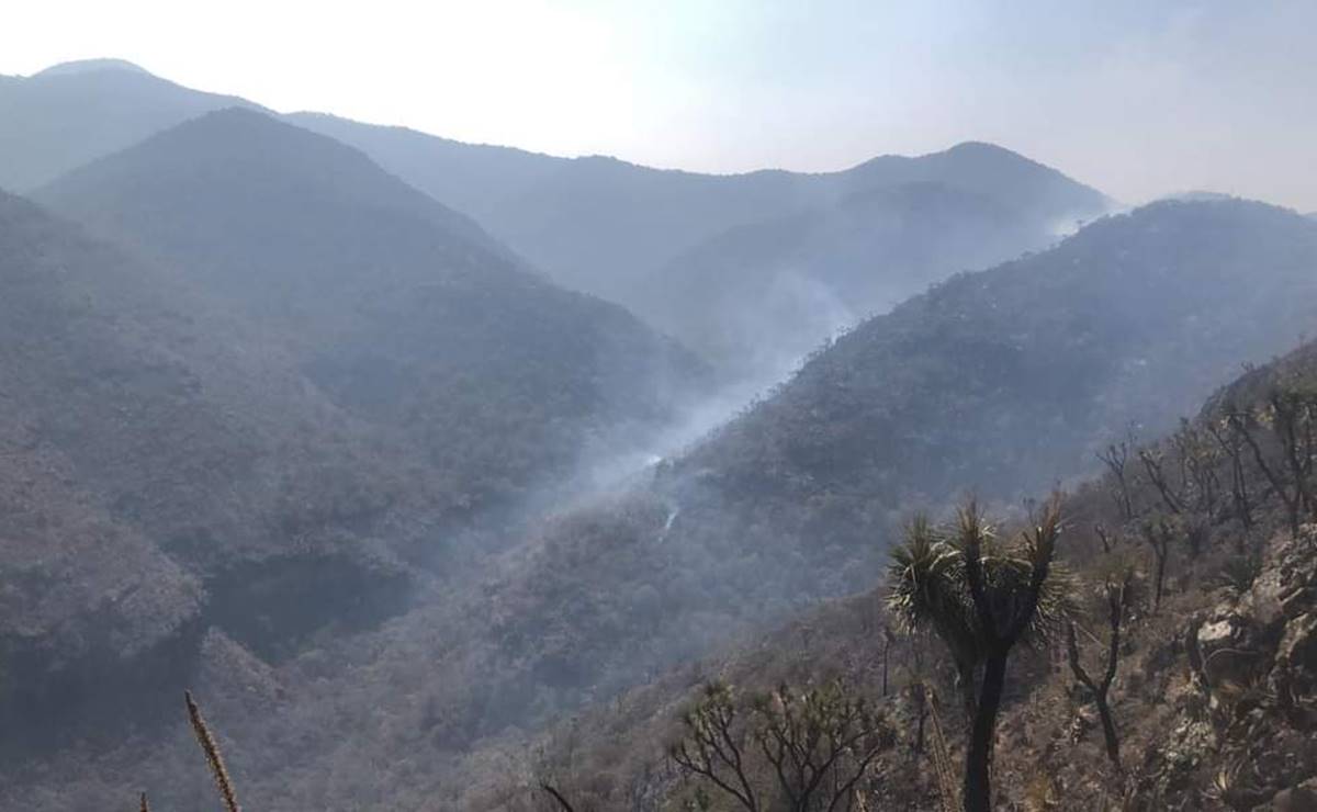 Piden auxilio para apagar fuego que devora bosques de Suchitepec, en la Mixteca de Oaxaca