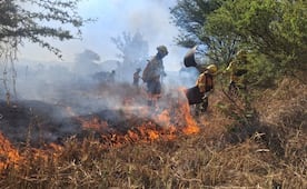 Autoridades de Santa María y San Miguel Chimalapa solicitan recursos ante la llegada de la temporada de incendios 