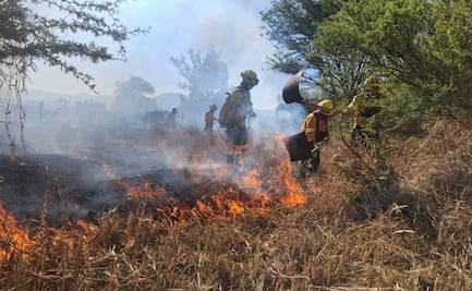 Autoridades de Santa María y San Miguel Chimalapa solicitan recursos ante la llegada de la temporada de incendios