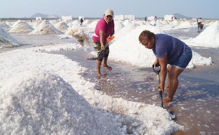 Madres de la sal:  200 mujeres de Oaxaca crecen a sus hijos entre agua de mar; enfrentan doble crisis