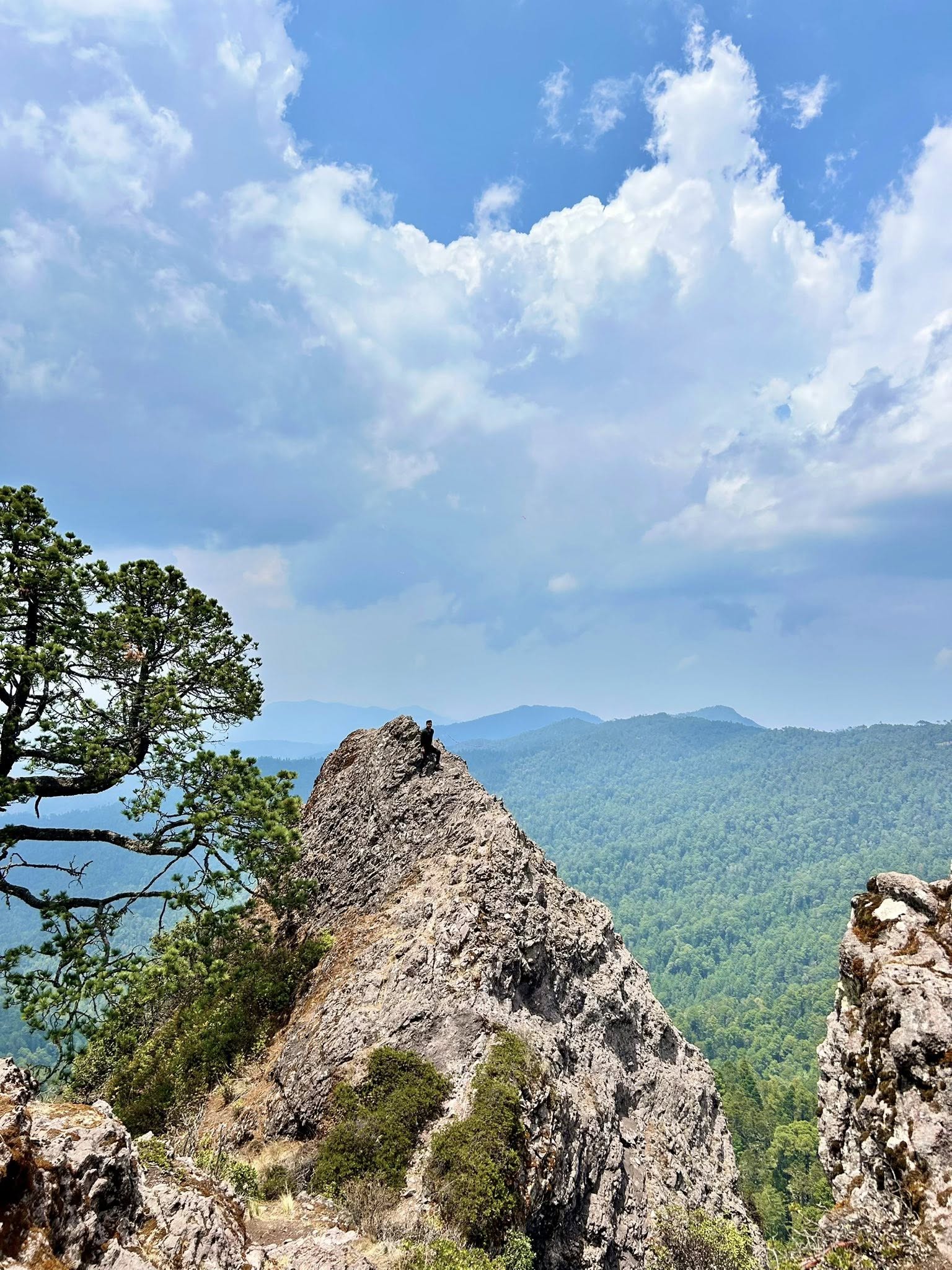 Yavesía. Foto: Instagram