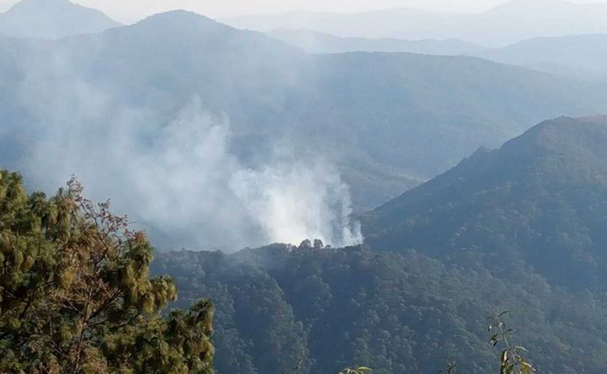 Incendio forestal arrasa con más de 50 hectáreas de bosque protegido en Juxtlahuaca. Foto: Cortesía