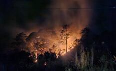 Dos incendios forestales fuera de control en Oaxaca ya alcanzan cultivos de platanares y café