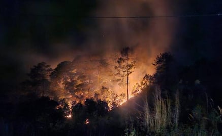 Dos incendios forestales fuera de control en Oaxaca ya alcanzan cultivos de platanares y café