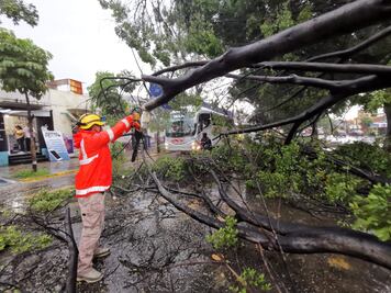 Lluvias provocan daños en territorio oaxaqueño; activan corporaciones plan de auxilio