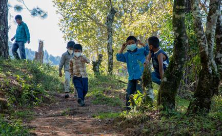 Brecha digital. La vieja normalidad de la región triqui de Oaxaca, donde no todos pueden volver a clases