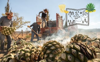 Ruta del mezcal en Oaxaca: Así es el paseo entre paisajes agaveros