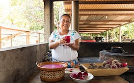 Así es el pulque de cardón, la bebida ancestral de Oaxaca que pocos conocen
