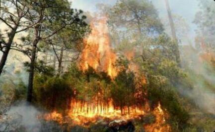 Incendios forestales amenazan la Mixteca de Oaxaca; suman 129 siniestros en bosques en el 2021