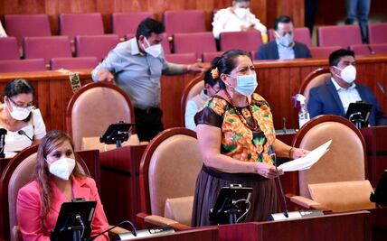 Legisladora en Oaxaca pide que nueva Ley General de Aguas considere lucha de pueblos indígenas