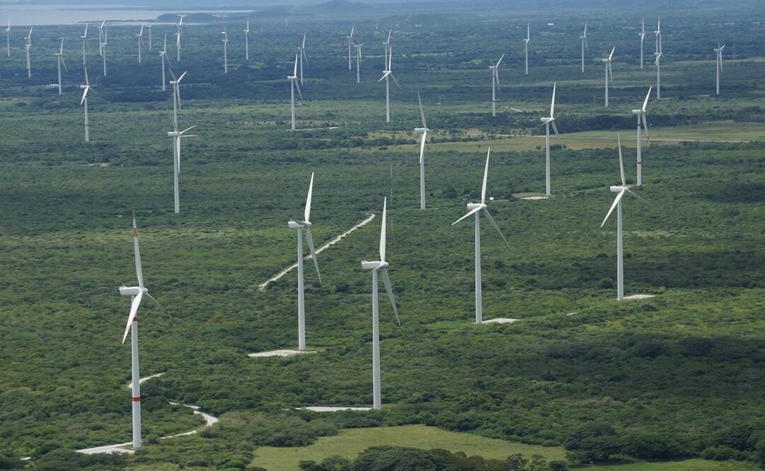 Campesinos que rentan tierras a eólicas en Oaxaca piden mesa de información a Rocío Nahle. Foto: Archivo/ Edwin Hernández