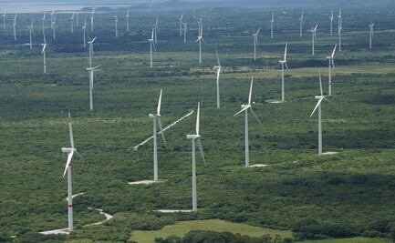 Campesinos que rentan tierras a eólicas en Oaxaca piden mesa de información a Rocío Nahle
