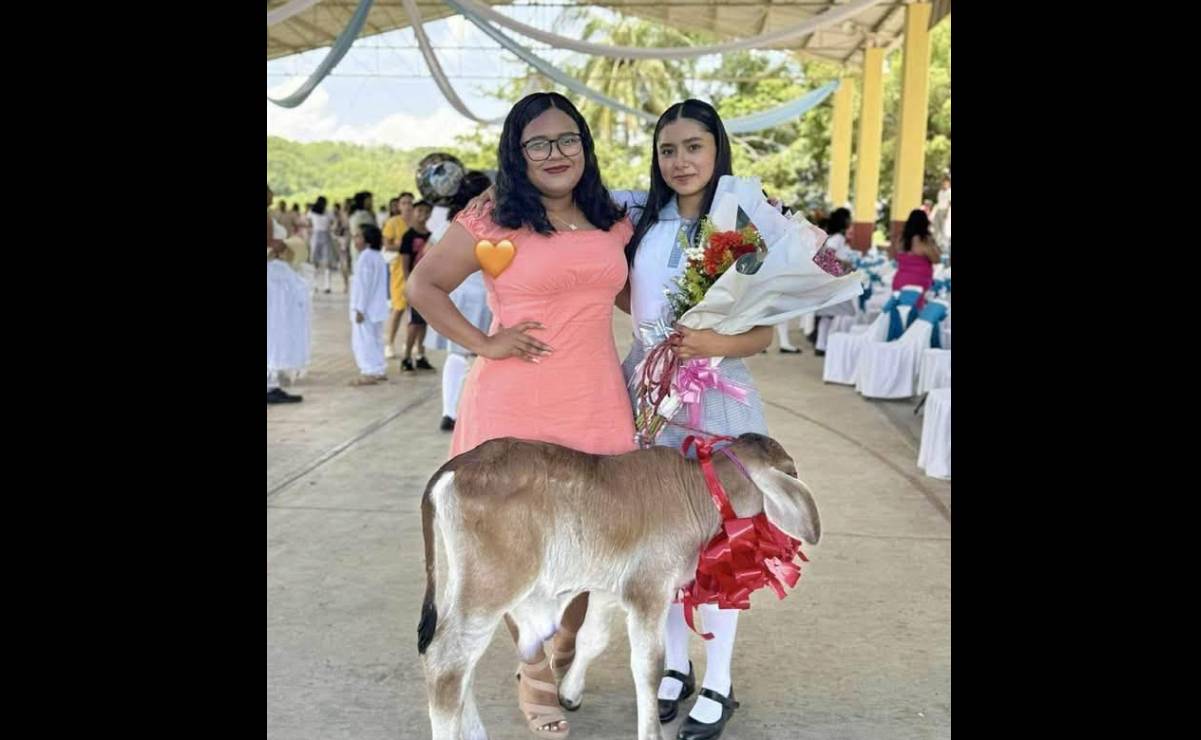 VIRAL: Sorprende regalo de graduación en Oaxaca; estudiante recibe un becerrito