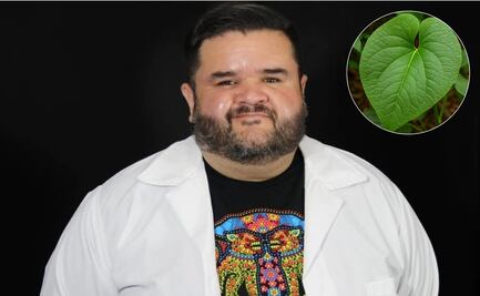 ¿La hoja santa cruda es tóxica? Rafa Carbajal responde con ciencia, tras polémica en MasterChef