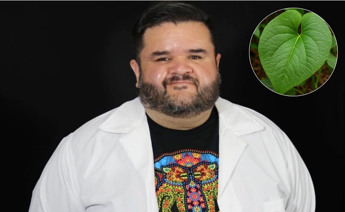 Hoja santa y safrol: ¿existe un riesgo real para la salud? Esto dice Rafa Carbajal. Foto: Especial.