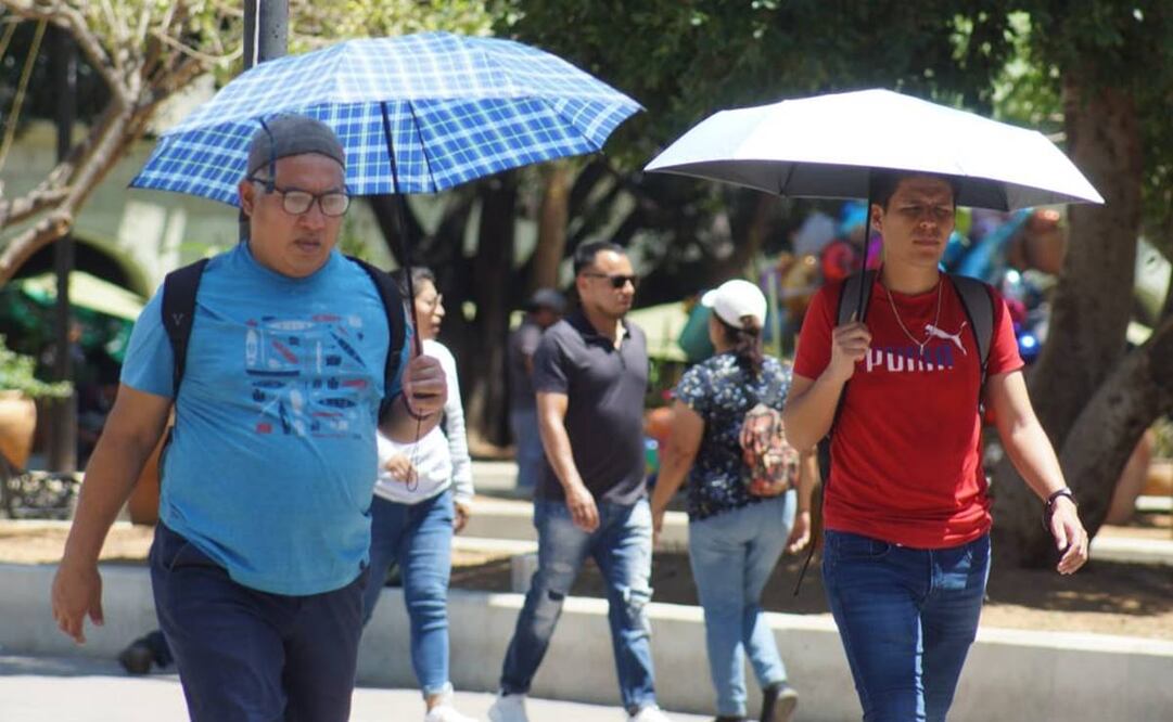 Foto: Edwin Hernández EL UNIVERSAL