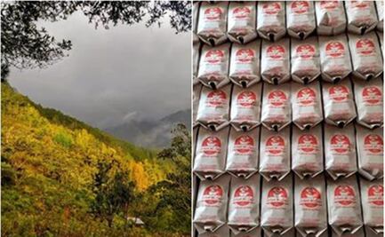 Gracias al café, resiste la economía de Talea de Castro en tiempos de crisis y pandemia