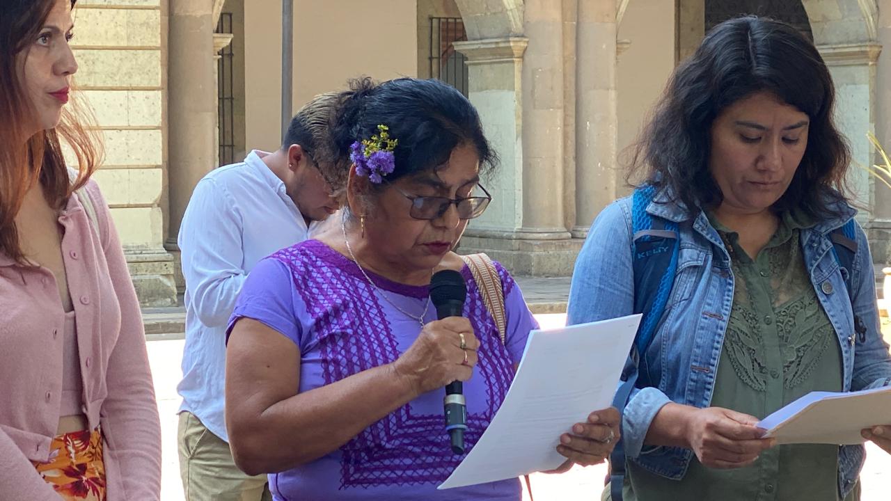 Relatora de la ONU pide garantías de seguridad para la defensora zapoteca Silvia Pérez