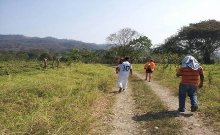 “¿Qué hace falta para que llegue la atención a Los Chimalapas?”