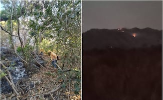 Incendio forestal se extiende en los Chimalapas; Coesfo atiende cinco frentes 