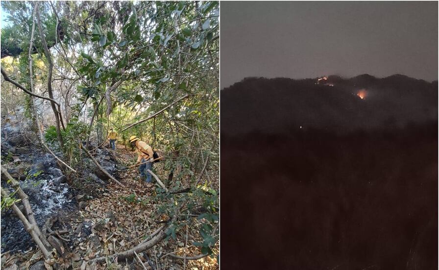 Incendio forestal se extiende en los Chimalapas; Coesfo atiende cinco frentes 