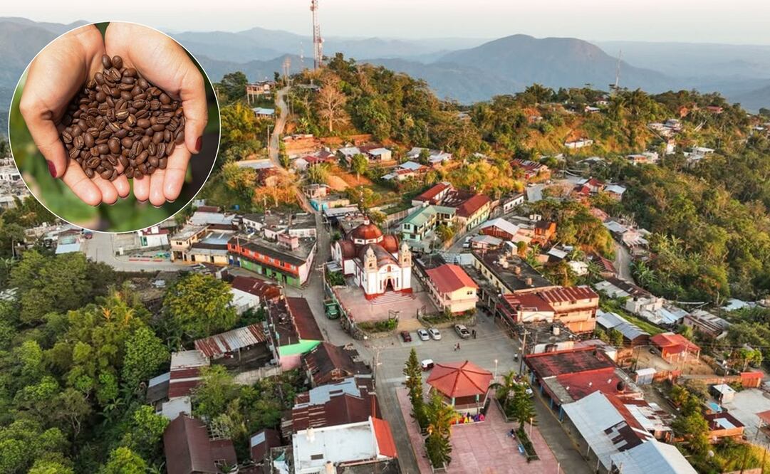 xplora la Sierra Sur de Oaxaca con la Ruta del Café Pluma: naturaleza, cultura y degustaciones de café en comunidades zapotecas. Foto: Especial.