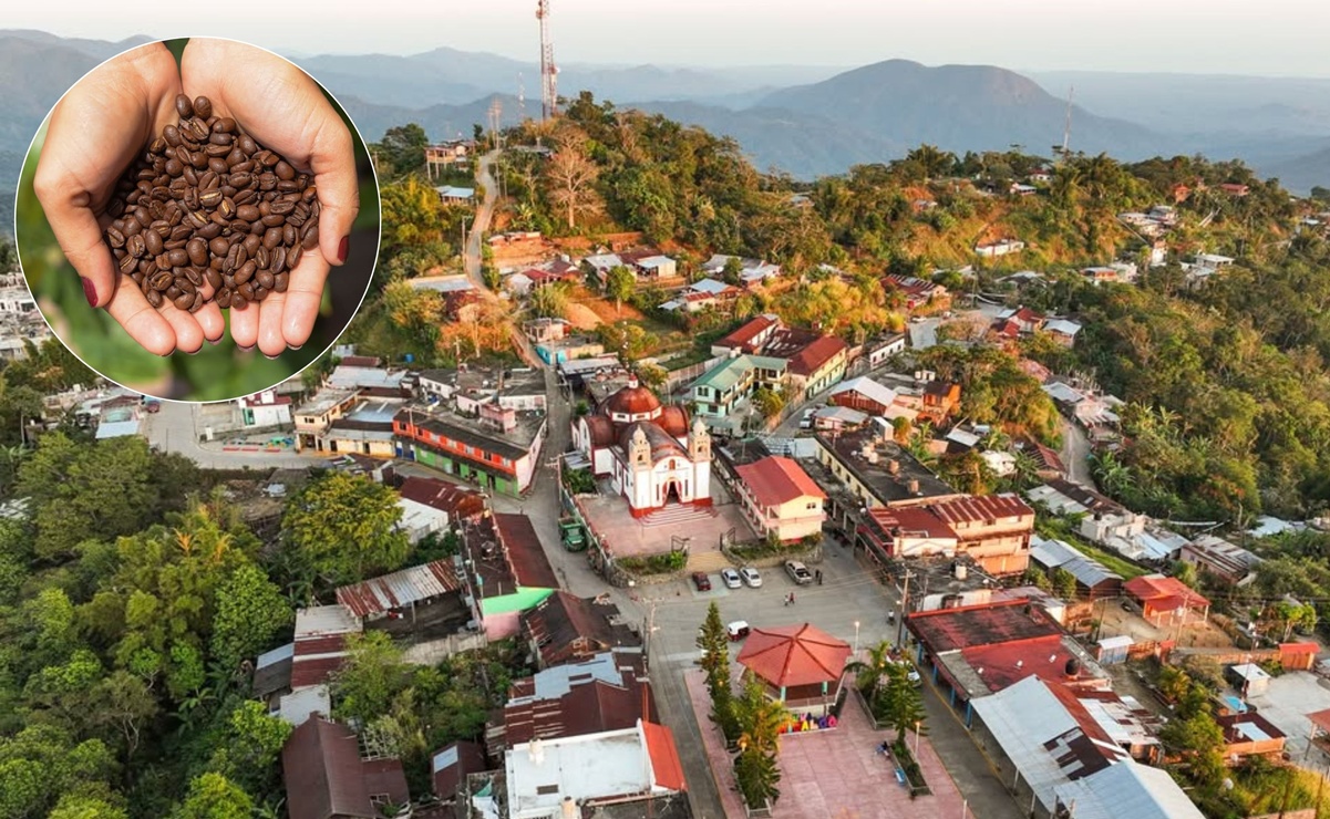 xplora la Sierra Sur de Oaxaca con la Ruta del Café Pluma: naturaleza, cultura y degustaciones de café en comunidades zapotecas. Foto: Especial.
