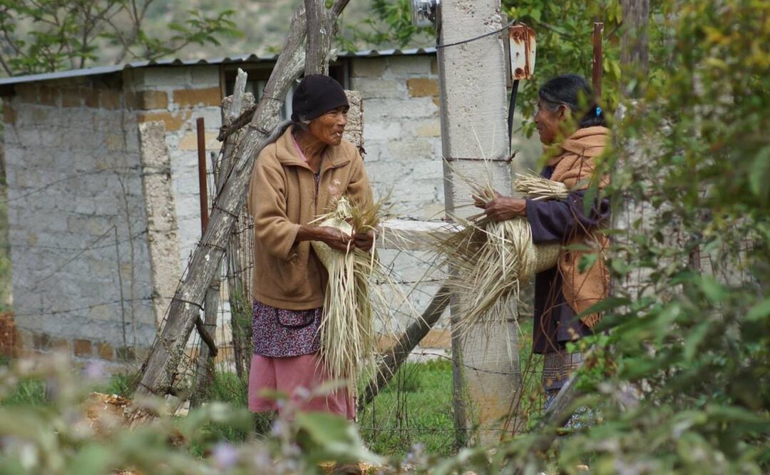 Casi 50% de los migrantes oaxaqueños radican en el estado de California y 7% en Nueva Jersey; le siguen Florida, Texas e Illinois. Foto: Juana García