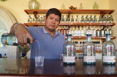 Mezcal artesanal, antídoto contra ecocidio; productores de Oaxaca "piden no caer en errores del tequila"