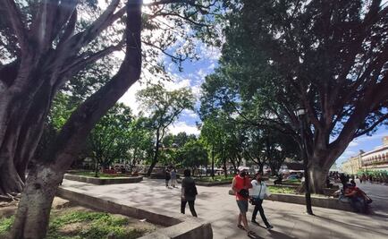 Registra Oaxaca 131 casos por Covid-19 en el día; acumula 21 mil 632 contagios