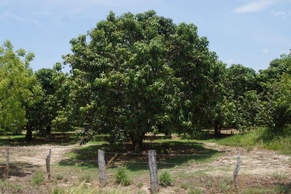 Foto: Edwin Hernández EL UNIVERSAL