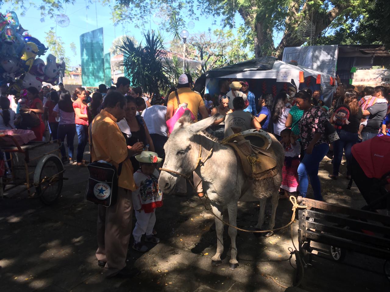 Calandria, la burra protagonista en la foto del recuerdo guadalupano en Tuxtepec