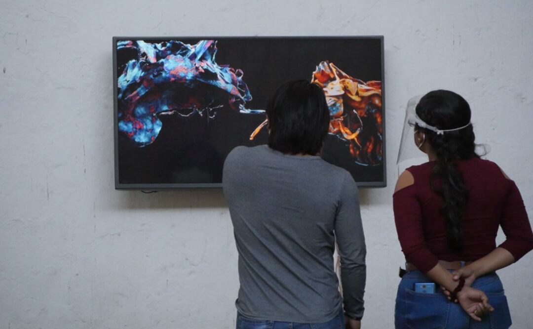 Fotos: Página de Facebook del MACO