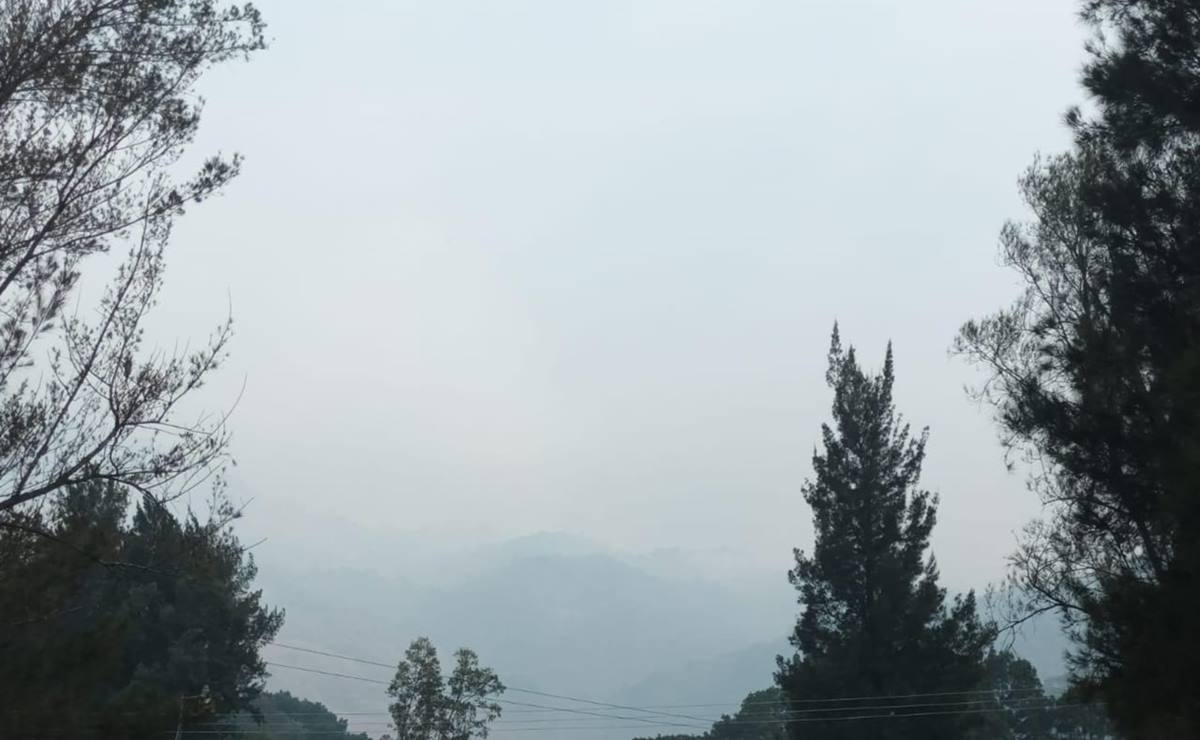 Incendio consume bosques de Tierra Blanca, comunidad triqui de Oaxaca en zona de conflicto