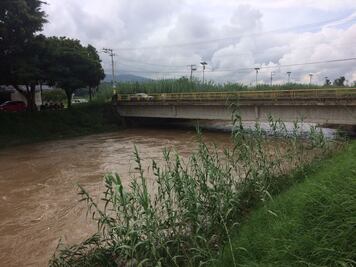 Ríos del Valle Central de Oaxaca, cerca de su nivel crítico