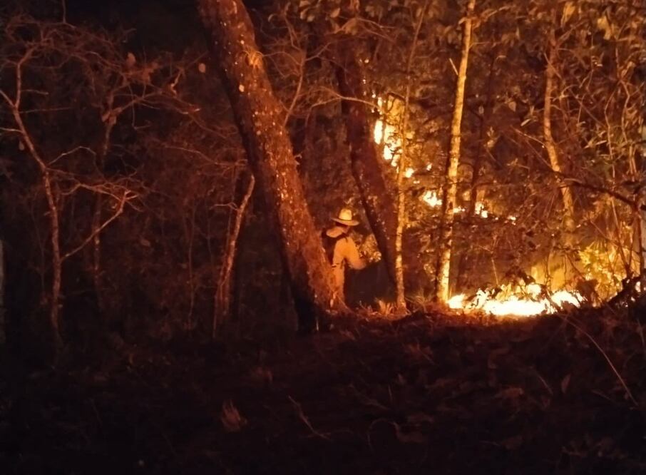 Selva de Los Chimalapas concentra 4 de los 5 incendios activos que devoran bosques de Oaxaca. Foto: Especial