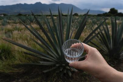 ¿Por qué usamos vasos de veladora para tomar mezcal? Historia, función y tradición