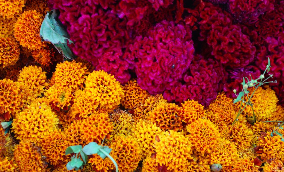 Foto: Edwin Hernández / EL UNIVERSAL