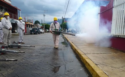 Ante rebrote de dengue en Tuxtepec, gobierno de Oaxaca arranca nebulizaciones a puertas abiertas