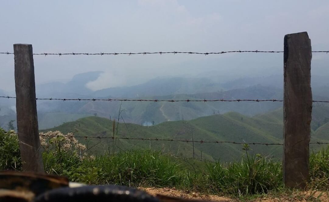 Foto: Cortesía del Comité Nacional para la Defensa y Conservación de Los Chimalapas